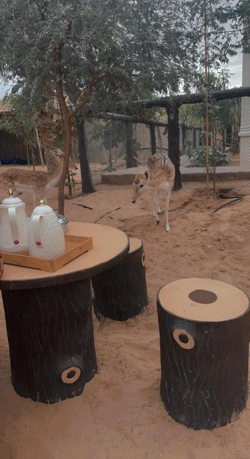 Chácara Farm Lebanon Abu Dhabi